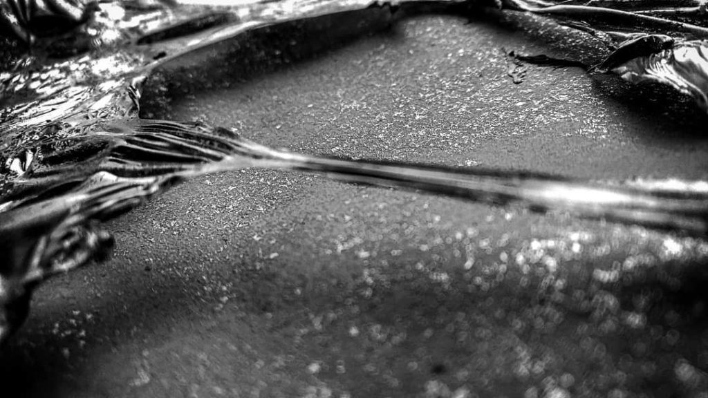 The Bridge by Carlos Nigro